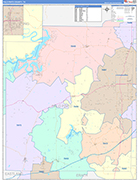 Palo Pinto County Wall Map Color Cast Style